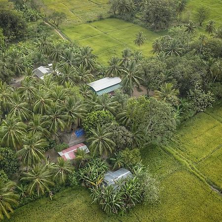 Coconut Park Bed & Breakfast อนุราธปุระ ภายนอก รูปภาพ