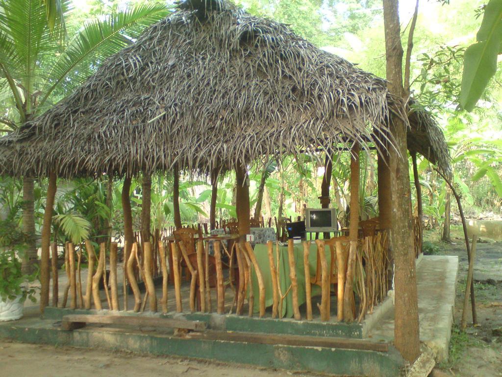 Coconut Park Bed & Breakfast อนุราธปุระ ภายนอก รูปภาพ