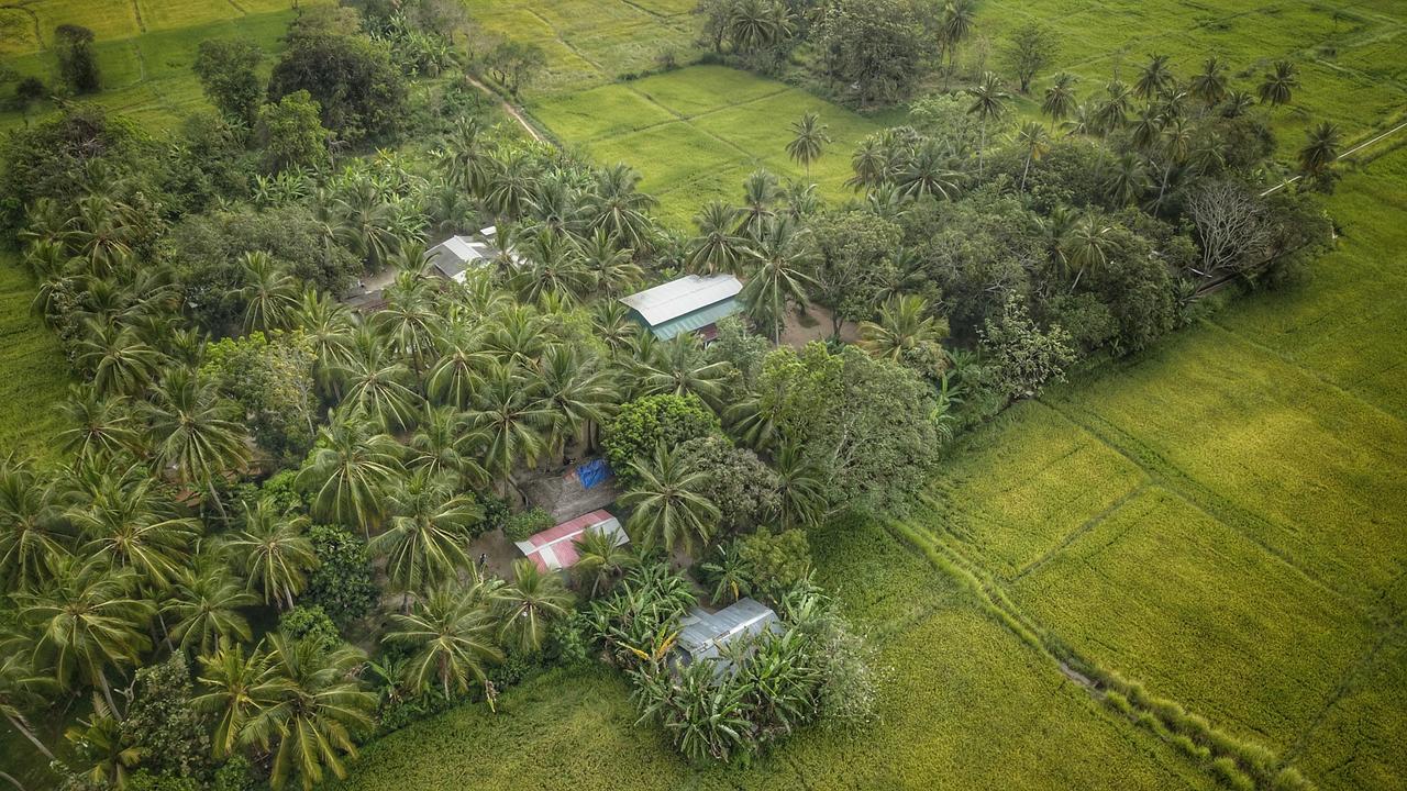 Coconut Park Bed & Breakfast อนุราธปุระ ภายนอก รูปภาพ