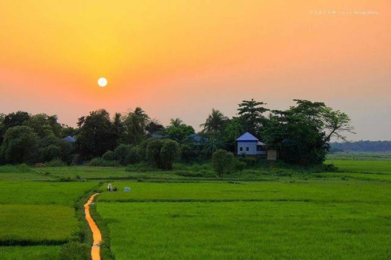 Coconut Park Bed & Breakfast อนุราธปุระ ภายนอก รูปภาพ